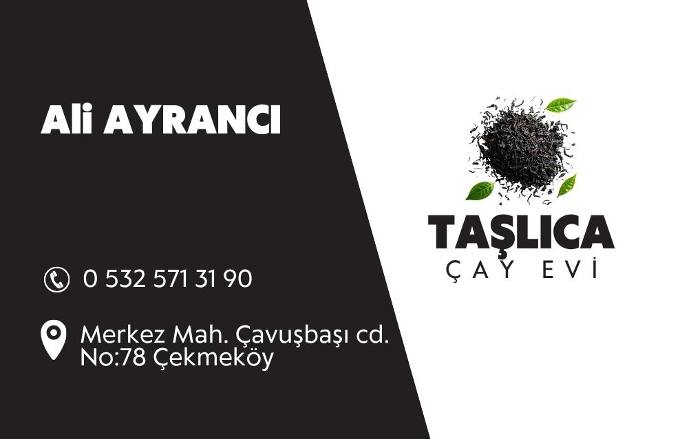 Taşlıca Camii — grafik çalışması